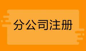 注冊(cè)分公司需要什么手續(xù)有哪些流程