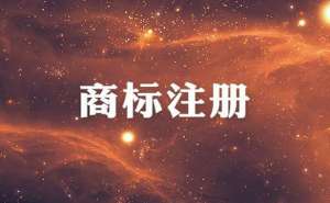 蕪湖注冊商標(biāo)查詢申請如何辦理