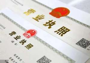 在蕪湖變更營業(yè)執(zhí)照和變更公司章程有什么區(qū)別？