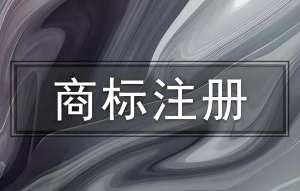在蕪湖申請(qǐng)商標(biāo)注冊(cè)需要注意哪些細(xì)節(jié)問題?